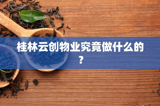 桂林云创物业究竟做什么的？