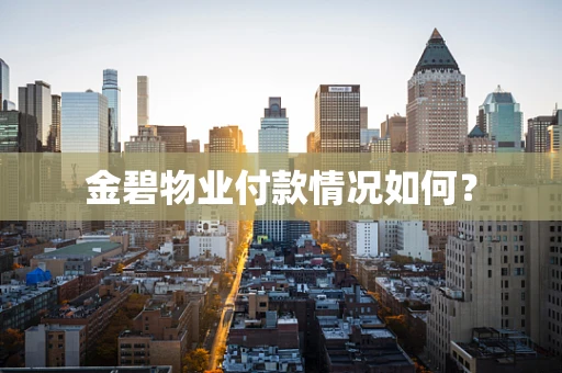 金碧物业付款情况如何？