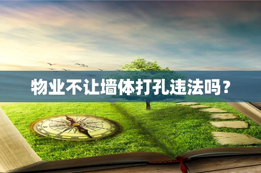 物业不让墙体打孔违法吗？