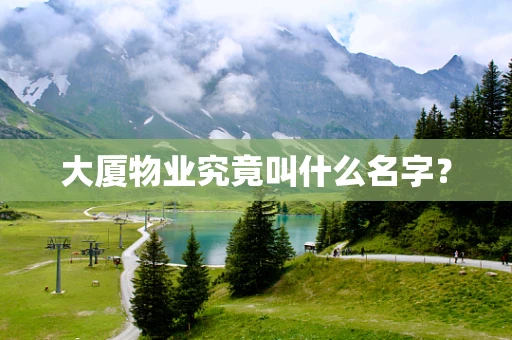大厦物业究竟叫什么名字？