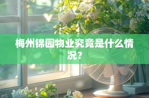 梅州锦园物业究竟是什么情况？