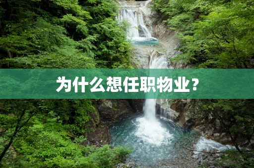 为什么想任职物业？