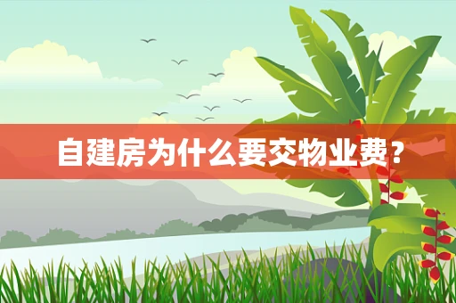 自建房为什么要交物业费？
