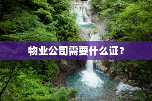 物业公司需要什么证？