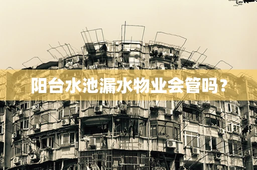 阳台水池漏水物业会管吗？