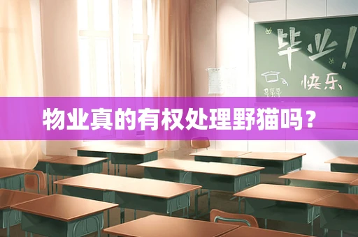 物业真的有权处理野猫吗？