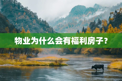 物业为什么会有福利房子？