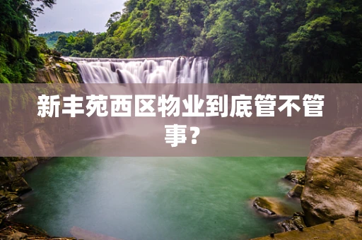 新丰苑西区物业到底管不管事？