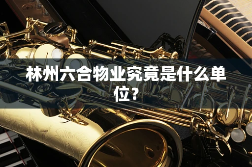 林州六合物业究竟是什么单位？