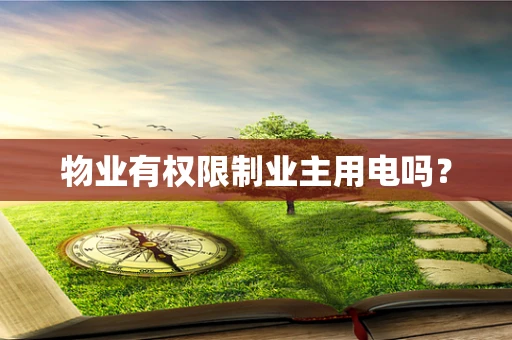 物业有权限制业主用电吗？