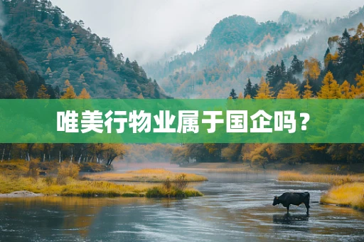 唯美行物业属于国企吗？