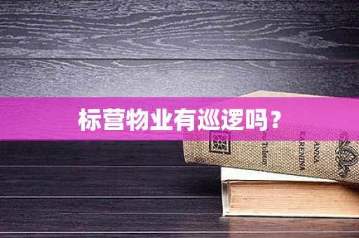 标营物业有巡逻吗？