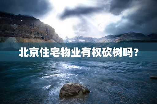 北京住宅物业有权砍树吗？