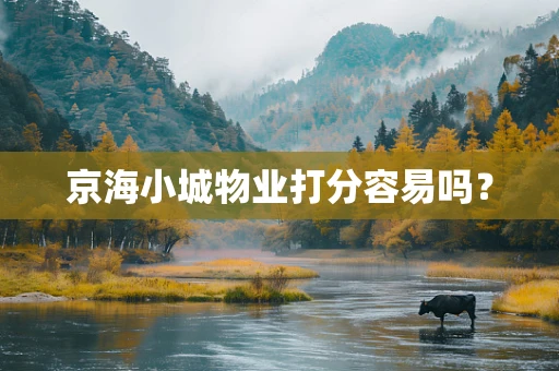 京海小城物业打分容易吗？