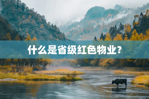 什么是省级红色物业？