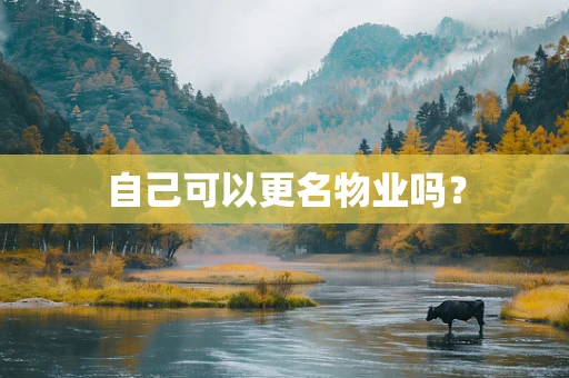 自己可以更名物业吗？