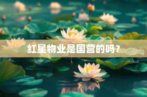 红星物业是国营的吗？