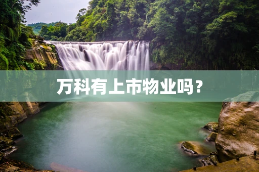 万科有上市物业吗？