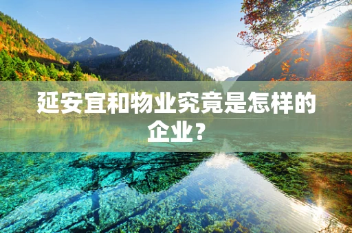 延安宜和物业究竟是怎样的企业？