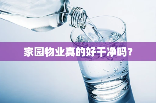 家园物业真的好干净吗？