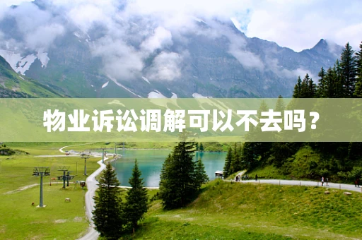 物业诉讼调解可以不去吗？