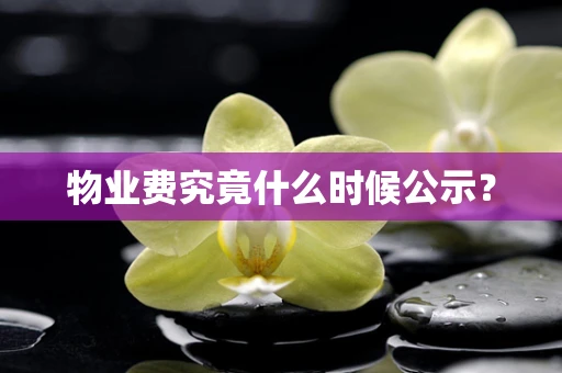物业费究竟什么时候公示？