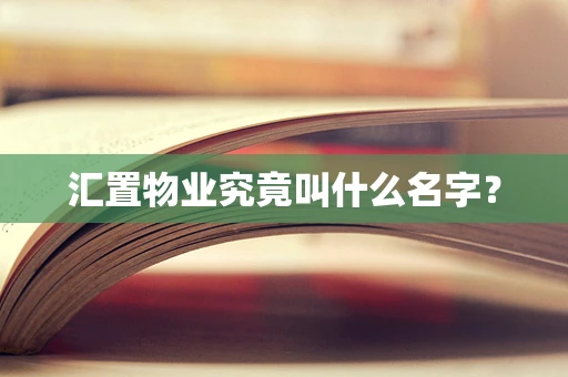 汇置物业究竟叫什么名字？