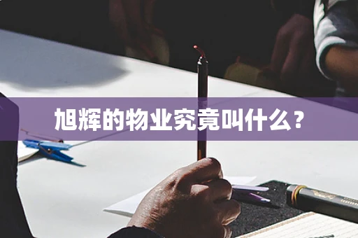 旭辉的物业究竟叫什么？