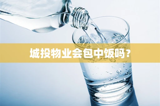 城投物业会包中饭吗？