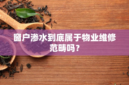 窗户渗水到底属于物业维修范畴吗？