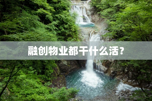 融创物业都干什么活？