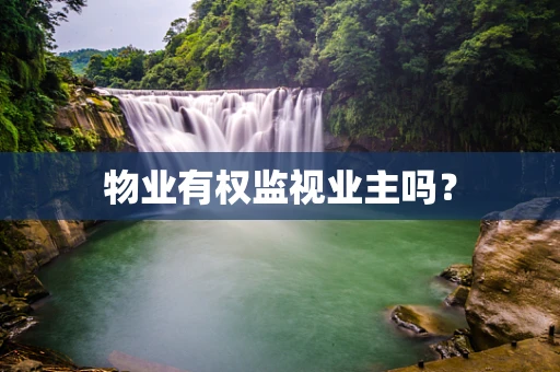 物业有权监视业主吗？