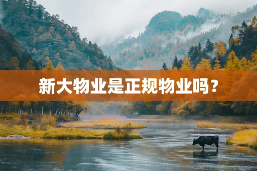 新大物业是正规物业吗？