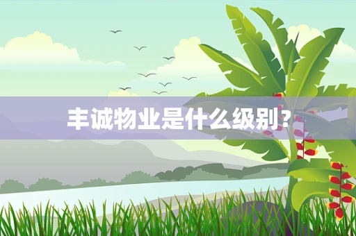 丰诚物业是什么级别？