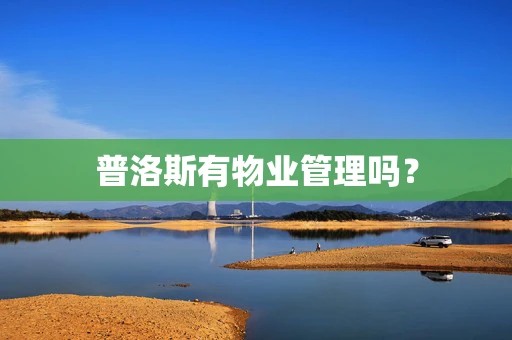 普洛斯有物业管理吗？
