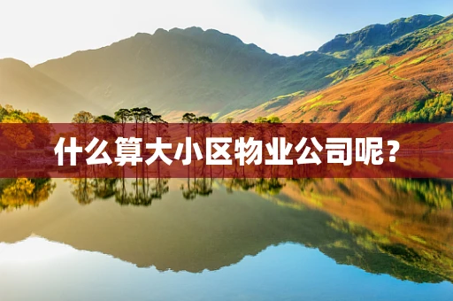 什么算大小区物业公司呢？