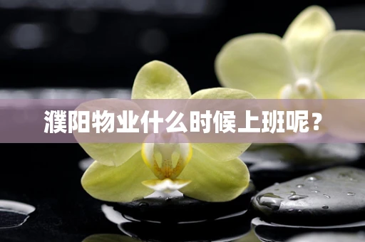 濮阳物业什么时候上班呢？