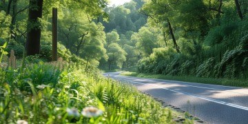 什么是道路附属物业？