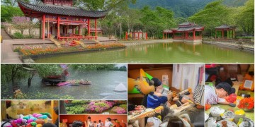 碧桂园物业管家会举办什么活动呢？