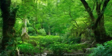 龙湖物业十三薪究竟如何发放？