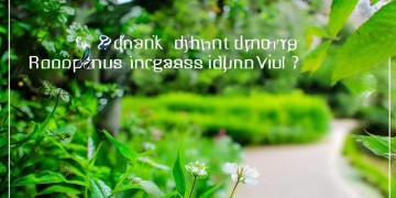 万科物业为何不涨？