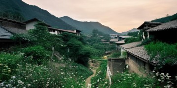 重庆农村物业到底怎么样？
