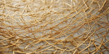 首期物业维修资金究竟是什么？